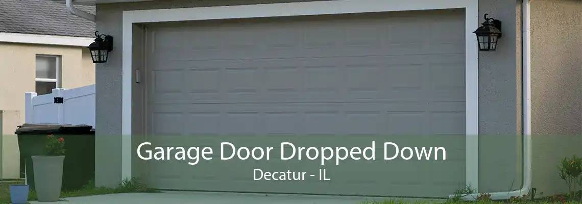 Garage Door Dropped Down Decatur - IL