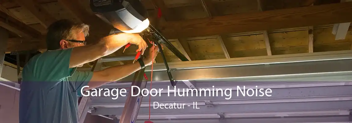 Garage Door Humming Noise Decatur - IL