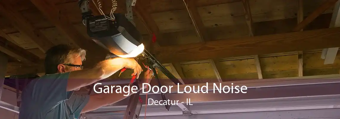 Garage Door Loud Noise Decatur - IL