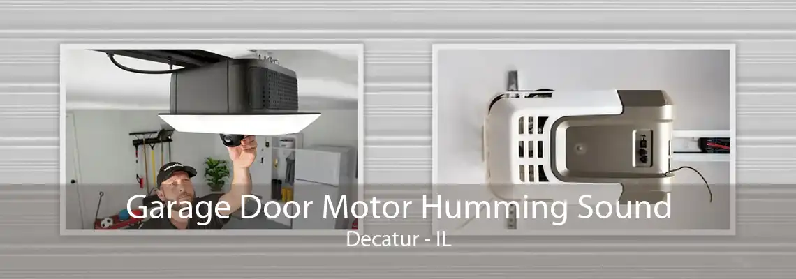 Garage Door Motor Humming Sound Decatur - IL