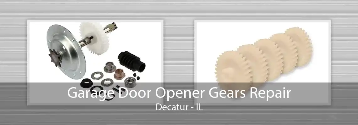 Garage Door Opener Gears Repair Decatur - IL