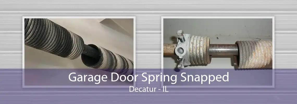 Garage Door Spring Snapped Decatur - IL