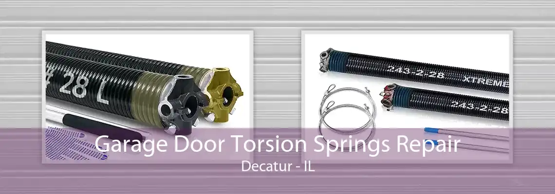 Garage Door Torsion Springs Repair Decatur - IL