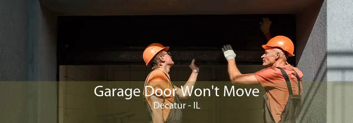 Garage Door Won't Move Decatur - IL